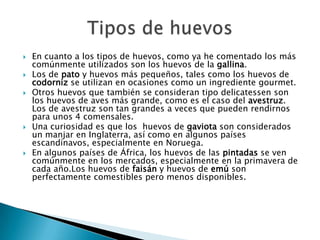    En cuanto a los tipos de huevos, como ya he comentado los más
    comúnmente utilizados son los huevos de la gallina.
   Los de pato y huevos más pequeños, tales como los huevos de
    codorniz se utilizan en ocasiones como un ingrediente gourmet.
   Otros huevos que también se consideran tipo delicatessen son
    los huevos de aves más grande, como es el caso del avestruz.
    Los de avestruz son tan grandes a veces que pueden rendirnos
    para unos 4 comensales.
   Una curiosidad es que los huevos de gaviota son considerados
    un manjar en Inglaterra, así como en algunos países
    escandinavos, especialmente en Noruega.
   En algunos países de África, los huevos de las pintadas se ven
    comúnmente en los mercados, especialmente en la primavera de
    cada año.Los huevos de faisán y huevos de emú son
    perfectamente comestibles pero menos disponibles.
 