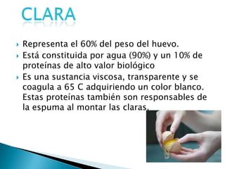    Representa el 60% del peso del huevo.
   Está constituida por agua (90%) y un 10% de
    proteínas de alto valor biológico
   Es una sustancia viscosa, transparente y se
    coagula a 65 C adquiriendo un color blanco.
    Estas proteínas también son responsables de
    la espuma al montar las claras.
 