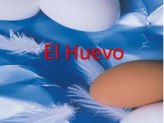 El Huevo
 