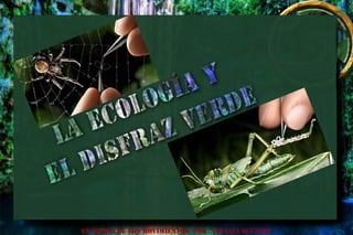 EL HURTO DE LOS MOVIMIENTOS POR NATALIA AGUILAR
 