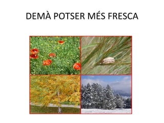 DEMÀ POTSER MÉS FRESCA 