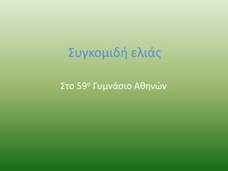 Συγκομιδή ελιάς
Στο 59ο Γυμνάσιο Αθηνών
 