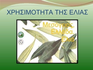 ΧΡΗΣΙΜΟΤΗΤΑ ΤΗΣ ΕΛΙΑΣ
 