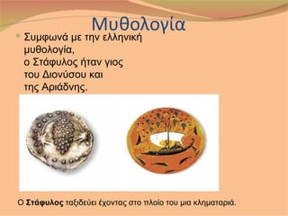 Μυθολογία
 Συμφωνά με την ελληνική
 μυθολογία,
 ο Στάφυλος ήταν γιος
 του Διονύσου και
 της Αριάδνης.




Ο Στάφυλος ταξιδεύει έχοντας στο πλοίο του μια κληματαριά.
 