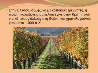  Στην Ελλάδα, σύμφωνα με κάποιους ερευνητές, η
 πρώτη καλλιέργεια αμπελιού έγινε στην Κρήτη, ενώ
 για κάποιους άλλους στη Θράκη και χρονολογούνται
 γύρω στο 1.000 π.Χ
 