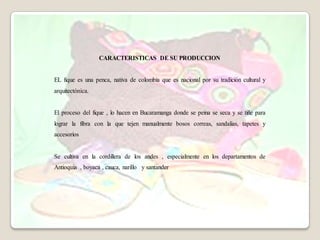 CARACTERISTICAS DE SU PRODUCCION


EL fique es una penca, nativa de colombia que es nacional por su tradición cultural y
arquitectónica.


El proceso del fique , lo hacen en Bucaramanga donde se peina se seca y se tiñe para
lograr la fibra con la que tejen manualmente bosos correas, sandalias, tapetes y
accesorios


Se cultiva en la cordillera de los andes , especialmente en los departamentos de
Antioquia , boyaca , cauca, narillo y santander
 