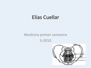 Elías Cuellar Medicina primer semestre II-2010 
