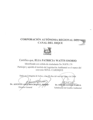 Elia watts hoja de vida completa