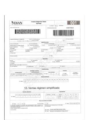 Elia watts hoja de vida completa