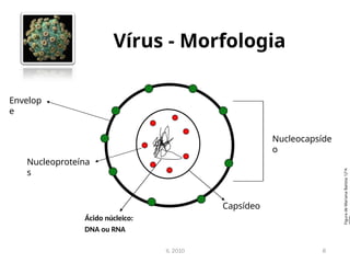 Vírus - Morfologia
IL 2010 8
Ácido núcleico:
DNA ou RNA
Capsídeo
Nucleocapsíde
o
Nucleoproteína
s
Envelop
e
Figura
de
Mariana
Batista
12ºA
 