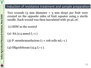 42
Induction of resistance treatment and sample preparation
Two wounds (3 mm diameter × 3 mm deep) per fruit were
created on the opposite sides of fruit equator using a sterile
needle. Each wound was then inoculated with 30 μL of:
(1) SDW as the control
(2) SA (2.5 mmol L−1 )
(3) P. membranaefaciens (1 × 108 cells mL−1 )
(4) Oligochitosan (15 g L−1 ).
 