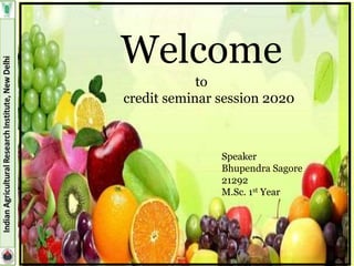 1
Welcome
to
credit seminar session 2020
Speaker
Bhupendra Sagore
21292
M.Sc. 1st Year
 