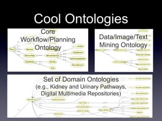Cool Ontologies
      Core
Workflow/Planning           Data/Image/Text
    Ontology                Mining Ontology




       Set of Domain Ontologies
    (e.g., Kidney and Urinary Pathways,
      Digital Multimedia Repositories)
 