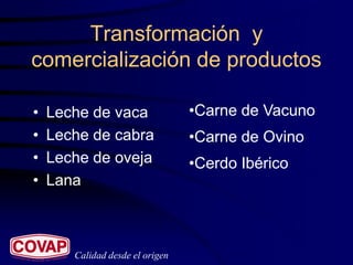 Transformación y
comercialización de productos

•   Leche de vaca                •Carne de Vacuno
•   Leche de cabra               •Carne de Ovino
•   Leche de oveja               •Cerdo Ibérico
•   Lana



       Calidad desde el origen
 