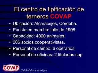 El centro de tipificación de
         terneros COVAP
•   Ubicación: Alcaracejos, Córdoba.
•   Puesta en marcha: julio de 1998.
•   Capacidad: 4000 animales.
•   206 socios cooperativistas.
•   Personal de campo: 6 operarios.
•   Personal de oficinas: 2 titulados sup.


        Calidad desde el origen
 