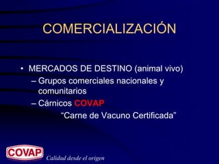 COMERCIALIZACIÓN

• MERCADOS DE DESTINO (animal vivo)
  – Grupos comerciales nacionales y
    comunitarios
  – Cárnicos COVAP
          “Carne de Vacuno Certificada”



      Calidad desde el origen
 