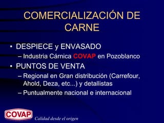 COMERCIALIZACIÓN DE
        CARNE
• DESPIECE y ENVASADO
 – Industria Cárnica COVAP en Pozoblanco
• PUNTOS DE VENTA
 – Regional en Gran distribución (Carrefour,
   Ahold, Deza, etc...) y detallistas
 – Puntualmente nacional e internacional


      Calidad desde el origen
 