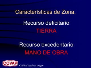 Características de Zona.
    Recurso deficitario
        TIERRA

 Recurso excedentario
  MANO DE OBRA

 Calidad desde el origen
 