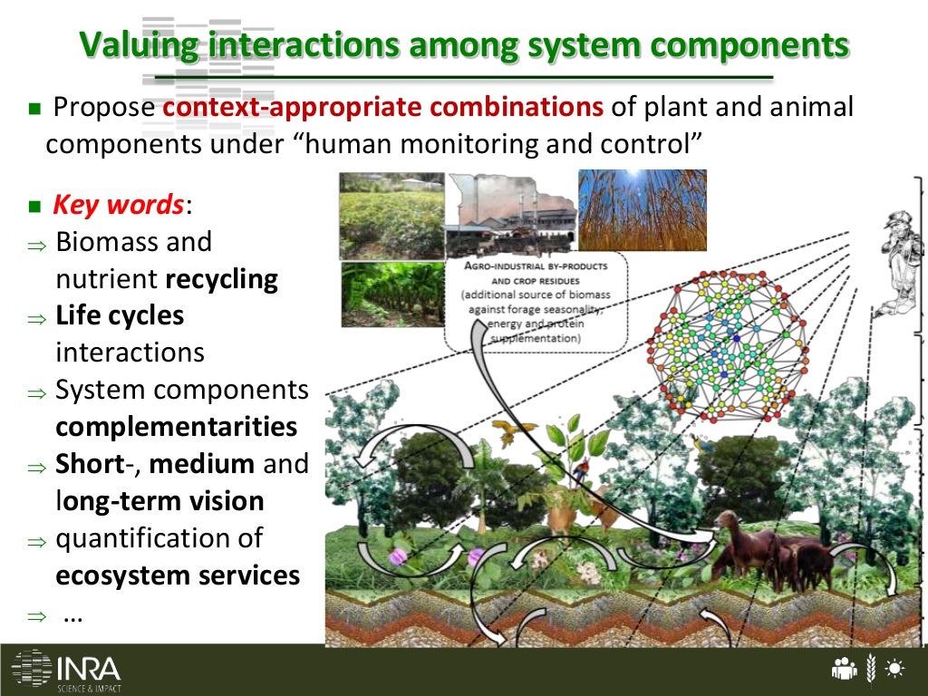 Livestock and Agroecology Redesigning animal production systems
