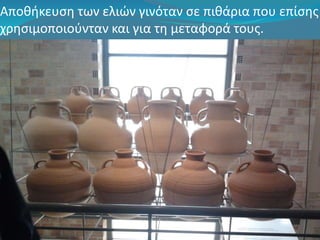 Αποθήκευση των ελιών γινόταν σε πιθάρια που επίσης 
χρησιμοποιούνταν και για τη μεταφορά τους. 
 