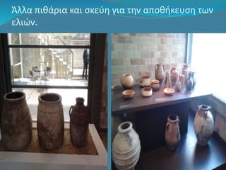 Άλλα πιθάρια και σκεύη για την αποθήκευση των 
ελιών. 
 