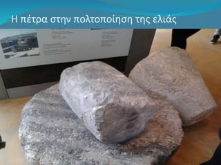 Η πέτρα στην πολτοποίηση της ελιάς 
 