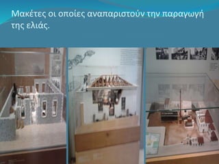 Μακέτες οι οποίες αναπαριστούν την παραγωγή 
της ελιάς. 
 