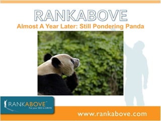 Almost A Year Later: Still Pondering Panda
 