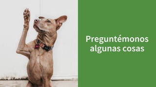 Elige tu framework ágil