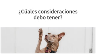 Elige tu framework ágil