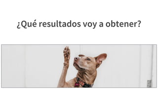 Elige tu framework ágil