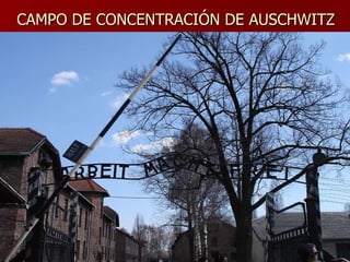 CAMPO DE CONCENTRACIÓN DE AUSCHWITZ 