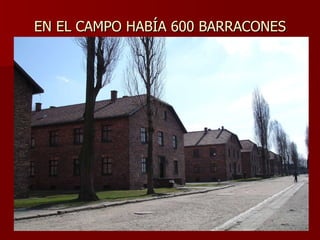 EN EL CAMPO HABÍA 600 BARRACONES 