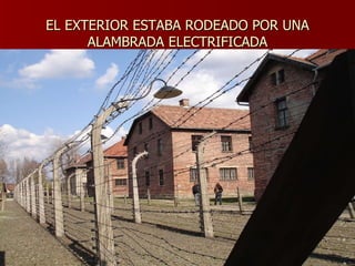 EL EXTERIOR ESTABA RODEADO POR UNA ALAMBRADA ELECTRIFICADA 