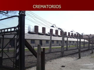 CREMATORIOS 