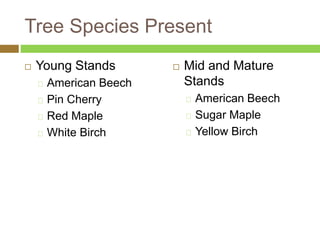 Tree Species Present 
 Young Stands 
American Beech 
Pin Cherry 
Red Maple 
White Birch 
 Mid and Mature 
Stands 
American Beech 
Sugar Maple 
Yellow Birch 
 