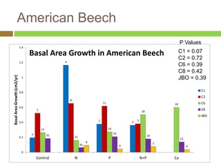 American Beech 
3 
4 
2 2 
2 
8 
11 
3 
12 
15 
19 
18 
18 
31 
26 
33 
14 
C1 = 0.07 
C2 = 0.72 
C6 = 0.39 
C8 = 0.42 
JBO = 0.39 
23 
8 
6 
5 
4 
1.4 
1.2 
1 
0.8 
0.6 
0.4 
0.2 
0 
Control N P N+P Ca 
Basal Area Growth (cm2/yr) 
Basal Area Growth in American Beech 
C1 
C2 
C6 
C8 
JBO 
P Values 
 