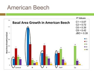 American Beech 
3 
4 
2 2 
2 
8 
11 
3 
12 
15 
19 
18 
18 
31 
26 
33 
14 
C1 = 0.07 
C2 = 0.72 
C6 = 0.39 
C8 = 0.42 
JBO = 0.39 
23 
8 
6 
5 
4 
1.4 
1.2 
1 
0.8 
0.6 
0.4 
0.2 
0 
Control N P N+P Ca 
Basal Area Growth (cm2/yr) 
Basal Area Growth in American Beech 
C1 
C2 
C6 
C8 
JBO 
P Values 
 