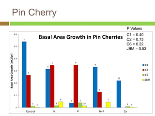 Pin Cherry 
5 
3 
5 
8 
12 
3 
2 8 
1 
2 6 
3 
8 
10 
7 
C1 = 0.40 
C2 = 0.73 
C6 = 0.22 
JBM = 0.53 
3 3 
6 
0.6 
0.5 
0.4 
0.3 
0.2 
0.1 
0 
Control N P N+P Ca 
Basal Area Growth (cm2/yr) 
Basal Area Growth in Pin Cherries 
C1 
C2 
C6 
JBM 
P Values 
 