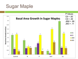 Sugar Maple 
6 
1 
2 
3 
4 
12 
8 
13 
9 
11 
13 
1 
4 
8 
13 
58 
46 
37 
38 
P Values 
C6 = .60 
C8 = .48 
JBM = .88 
JBO = .11 
23 
0.45 
0.4 
0.35 
0.3 
0.25 
0.2 
0.15 
0.1 
0.05 
0 
Control N P N+P Ca 
Basal Area Growth (cm2/yr) 
Basal Area Growth in Sugar Maples 
C6 
C8 
JBM 
JBO 
 