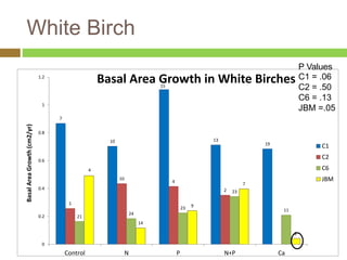 White Birch 
7 
10 
15 
13 
19 
5 
10 
4 
2 
21 
24 
23 
23 
11 
4 
14 
9 
7 
2 
1.2 
1 
0.8 
0.6 
0.4 
0.2 
0 
Control N P N+P Ca 
Basal Area Growth (cm2/yr) 
Basal Area Growth in White Birches 
P Values 
C1 = .06 
C2 = .50 
C6 = .13 
JBM =.05 
C1 
C2 
C6 
JBM 
 