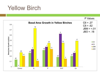 40 
24 
19 
20 15 
22 
27 
4 
4 
1 
5 
18 
20 4 
17 
13 
8 
11 
3 
0.8 
0.7 
0.6 
0.5 
0.4 
0.3 
0.2 
0.1 
0 
Control N P N+P Ca 
Basal Area Growth (cm2/yr) 
Basal Area Growth in Yellow Birches 
C6 
C8 
JBM 
JBO 
Yellow Birch 
P Values 
C6 = .27 
C8 = .62 
JBM = <.01 
JBO = .18 
 