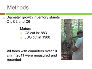 Methods 
 Diameter growth inventory stands 
C1, C2 and C6 
Mature 
 C8 cut in1883 
 JBO cut in 1900 
 All trees with diameters over 10 
cm in 2011 were measured and 
recorded 
 