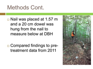 Methods Cont. 
 Nail was placed at 1.57 m 
and a 20 cm dowel was 
hung from the nail to 
measure below at DBH 
 Compared findings to pre-treatment 
data from 2011 
 