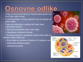ćElija | PPT