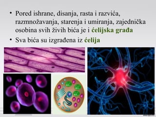 • Pored ishrane, disanja, rasta i razvića,
razmnožavanja, starenja i umiranja, zajednička
osobina svih živih bića je i ćelijska građa
• Sva bića su izgrađena iz ćelija
 