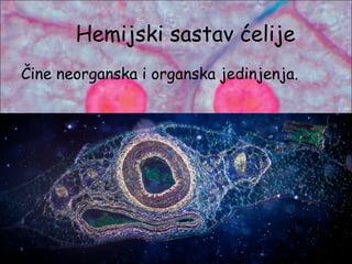 Hemijski sastav ćelije
Čine neorganska i organska jedinjenja.
 