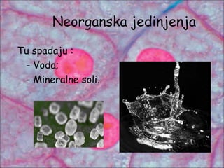 Neorganska jedinjenja
Tu spadaju :
- Voda;
- Mineralne soli.
 