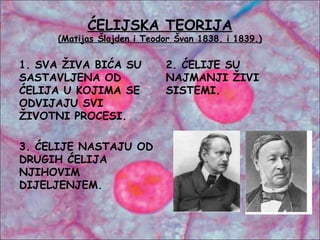 ĆELIJSKA TEORIJA
(Matijas Šlajden i Teodor Švan 1838. i 1839.)
1. SVA ŽIVA BIĆA SU
SASTAVLJENA OD
ĆELIJA U KOJIMA SE
ODVIJAJU SVI
ŽIVOTNI PROCESI.
2. ĆELIJE SU
NAJMANJI ŽIVI
SISTEMI.
3. ĆELIJE NASTAJU OD
DRUGIH ĆELIJA
NJIHOVIM
DIJELJENJEM.
 