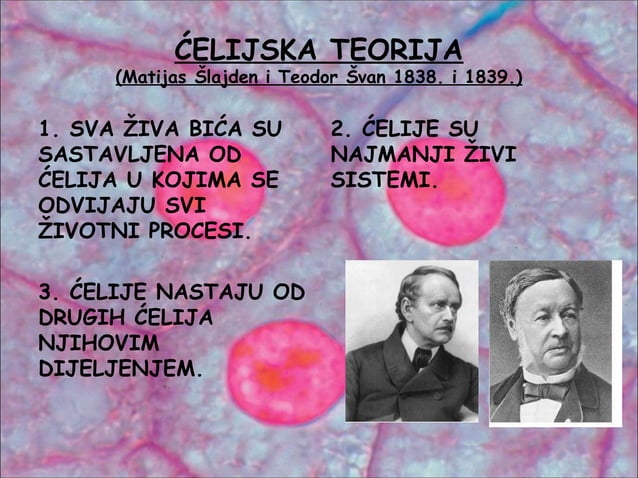 Ćelija | PPT